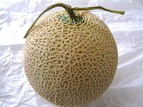 【茨城県内発】 標高1550mの湖畔に佇む高原リゾートに宿泊!めろめろメロン&サクサクさくらんぼミステリー2